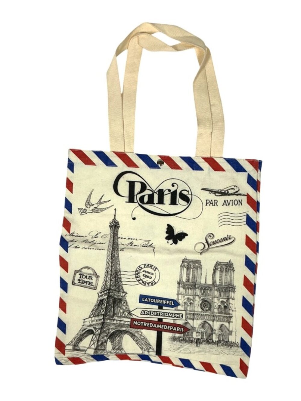 Paris Souvenir Canvas Tote Bag | Eiffel Tower Notre-Dame Postcard Print | Snap C